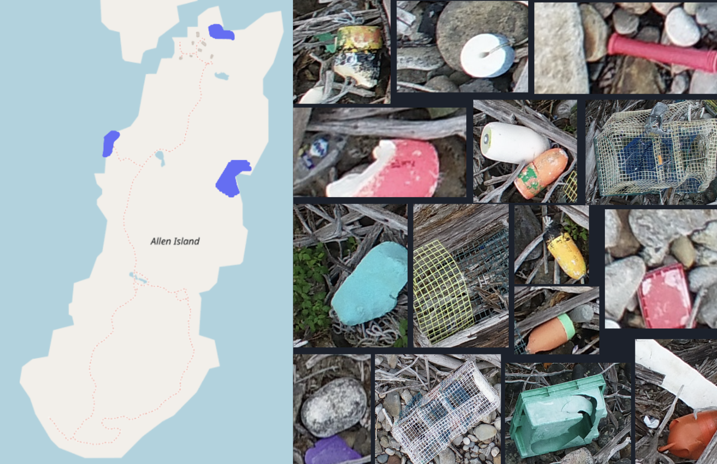 AI for Environmental Sustainability